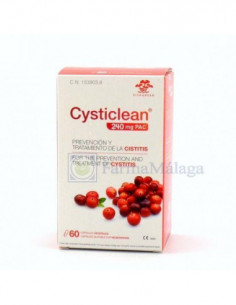 CYSTICLEAN 500 MG 60 CAPSULAS