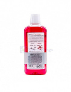 BEXIDENT ANTICARIES... 2