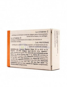 BIOKSAN ARTIOK 30 CAPSULAS... 2