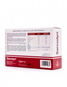 SARCODYN PIÑA 21 SOBRES 2