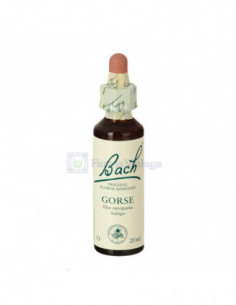 BACH 13 GORSE 20ml... 2