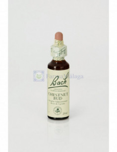 BACH 07 CHESTNUT BUD 20ml... 2
