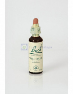 BACH 37 WILD ROSE 20ML... 2