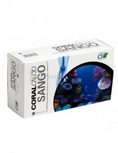 CFN CORAL CALCIO SANGO... 2