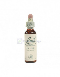 BACH 23 OLIVE 20 ml...