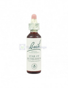 BACH 29 STAR OF BETHLEHEM...