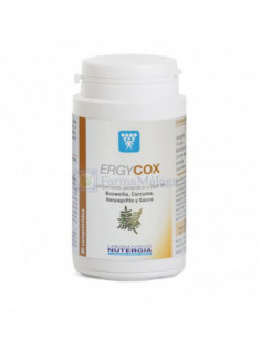 NUTERGIA ERGYCOX 90comp