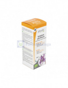 PHYSALIS EPILOBIUM...