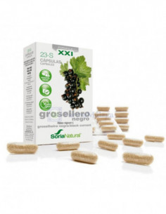 (DESCATALOGADO)SORIA...