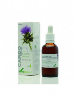 SORIA NATURAL CARDO MARIANO... 2