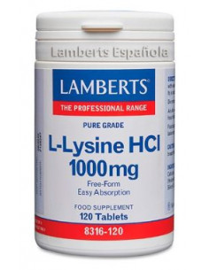 LAMBERTS L LISINA HCI...