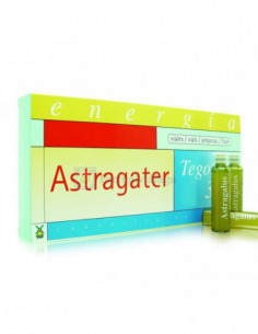 TEGOR ASTRAGATER 36...